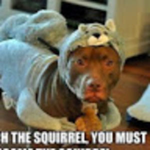 Meet your Posher, Beck